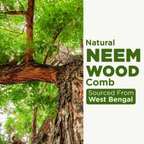 Alps Goodness 100% Natural Neem Comb | Grocsy