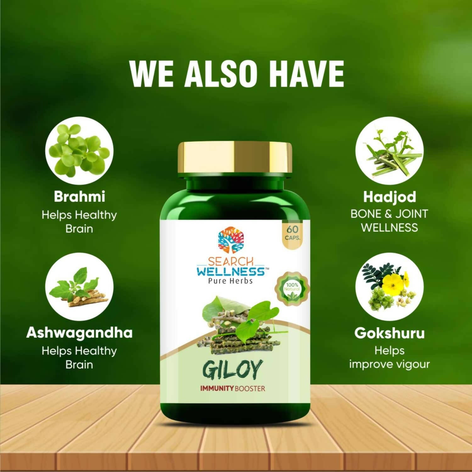 Search Wellness Giloy Capsules | Grocsy