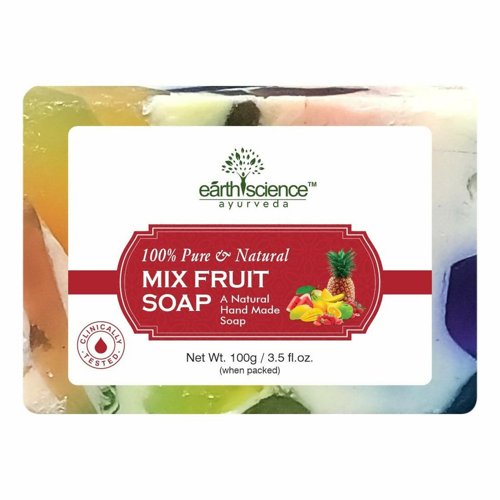 Earth Science Ayurveda Mix Fruit Bath Soap | Grocsy