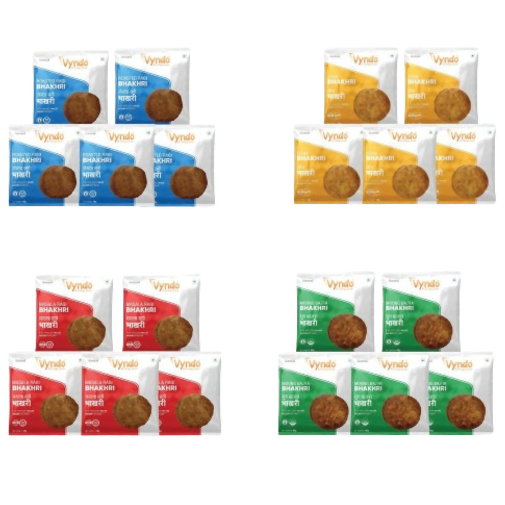 Vyndo Bhakhri Mini Snack Pack Combo