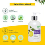 OZiva Phyto Defense Anti-Dandruff Shampoo | Grocsy