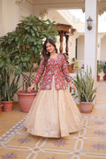 Prazu Fashion Maroon Cosmos Weaving Jacquard Designer Lehenga | Grocsy