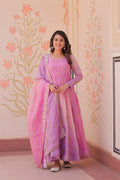 Prazu Fashion Pink Organza Embroidered Gown With Dupatta | Grocsy