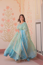 Prazu Fashion Sky Blue Organza Embroidered Gown With Dupatta | Grocsy