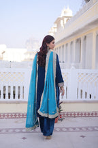 Prazu Fashion Rama Velvet Rich Sequins , Zari, Coding & Thread Embroidered Salwar Suit | Grocsy