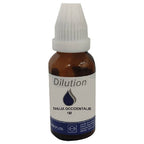 Hapro Thuja Occidentalis Dilution | Grocsy