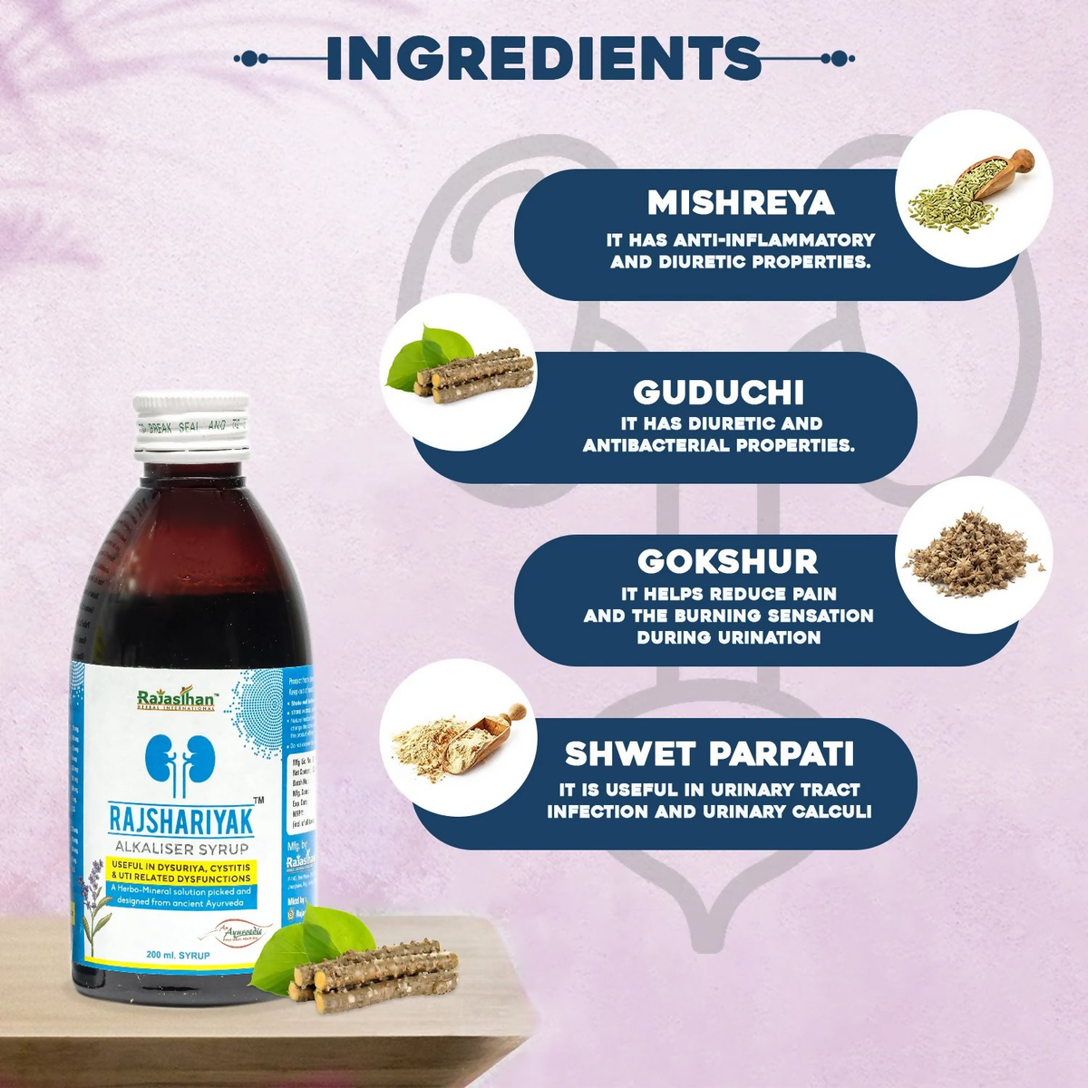 Rajasthan Herbals Rajshariyak Alkaliser Syrup | Grocsy
