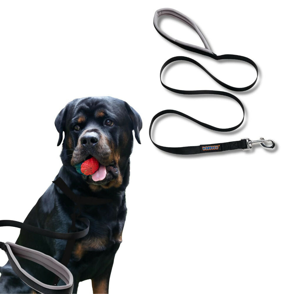 Waggety Dog Leash - Durable Black Polyester, Length - 5Ft, Comfortable Grip, Stylish Pet Leash for Dogs | Grocsy