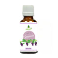 Oilcure Grape Seed Oil | Grocsy