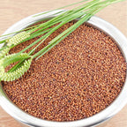 Freshon Ragi Organic | Grocsy