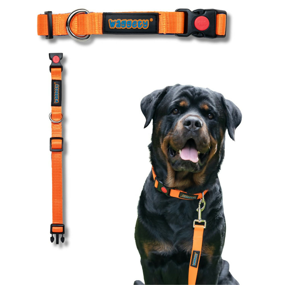 Waggety Padded Dog Collar - Adjustable, Comfortable Fit, Durable Polyester - Orange | Grocsy