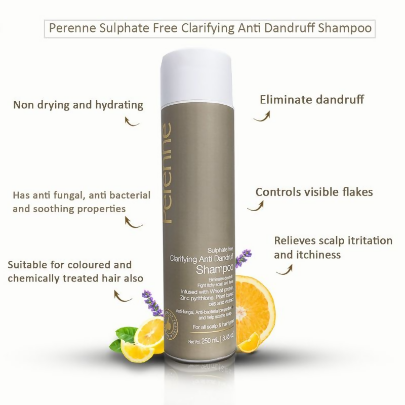 Perenne Sulphate Free Clarifying Anti Dandruff Shampoo | Grocsy