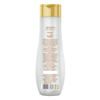 Jovees Ginger Spa Dry Therapy Shampoo | Grocsy