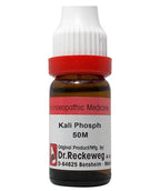 Dr. Reckeweg Kali Phosph Dilution | Grocsy