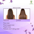 Adonis Grip Hair DH Mask | Grocsy