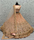 Jyoti Fashion Women's Peach Bridal Net Fancy Sequins with Multi Thread Embroidered & Handwork Wedding Lehenga Choli | Grocsy