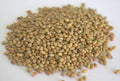 Freshon Natural Madike Kalu