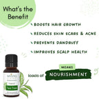 Mystiq Living Originals Tea Tree Essential Oil | Grocsy