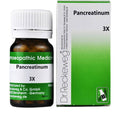 Dr. Reckeweg Pancreatinum Trituration Tablets | Grocsy