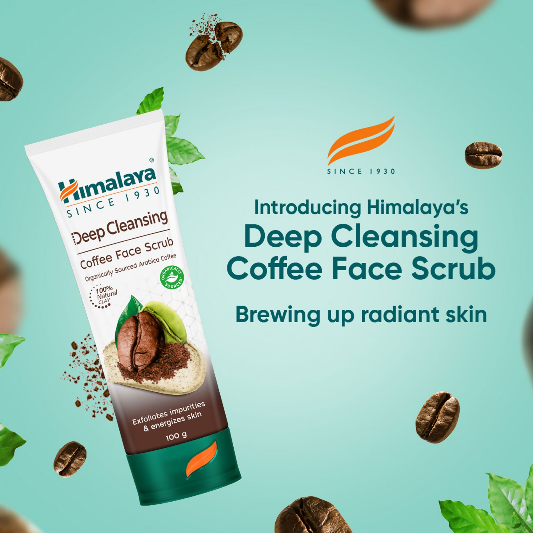 Himalaya Herbals Deep Cleansing Coffee Face Scrub | Grocsy