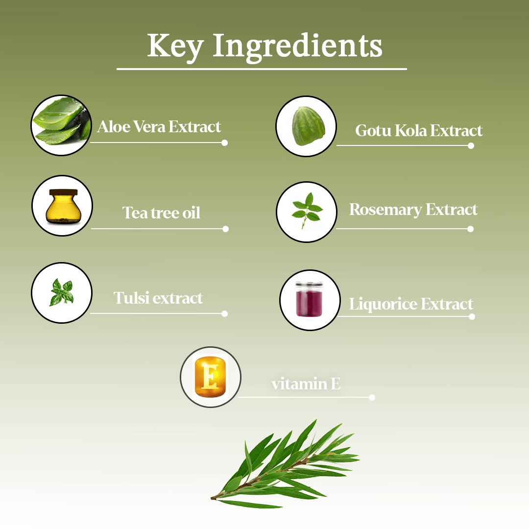 AYA Tea Tree Exfoliating Face Scrub | Grocsy