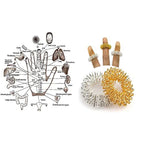 ANCS Sujok Acupressure Finger Massage Ring Kit | Grocsy