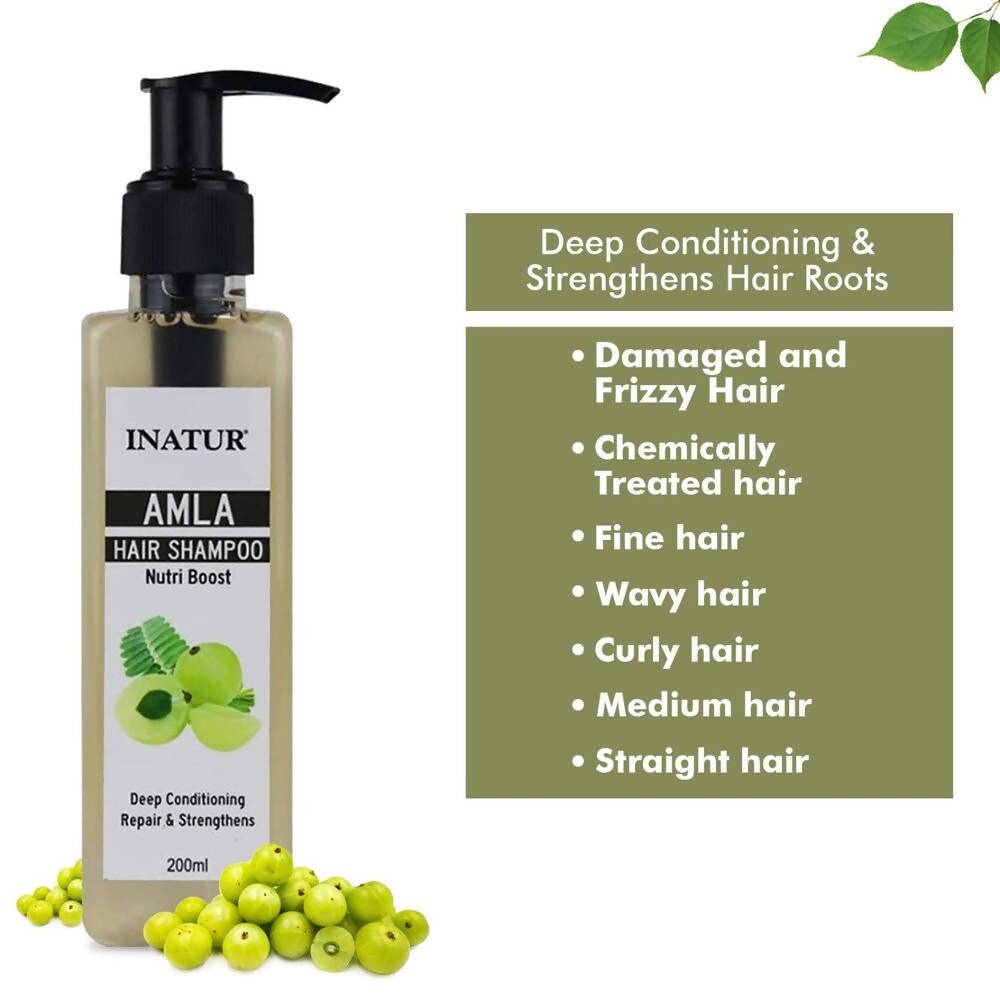 Inatur Amla Hair Shampoo | Grocsy