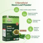 Radico Organic Neem Leaf Powder For Shiny & Healthy Hair | Grocsy