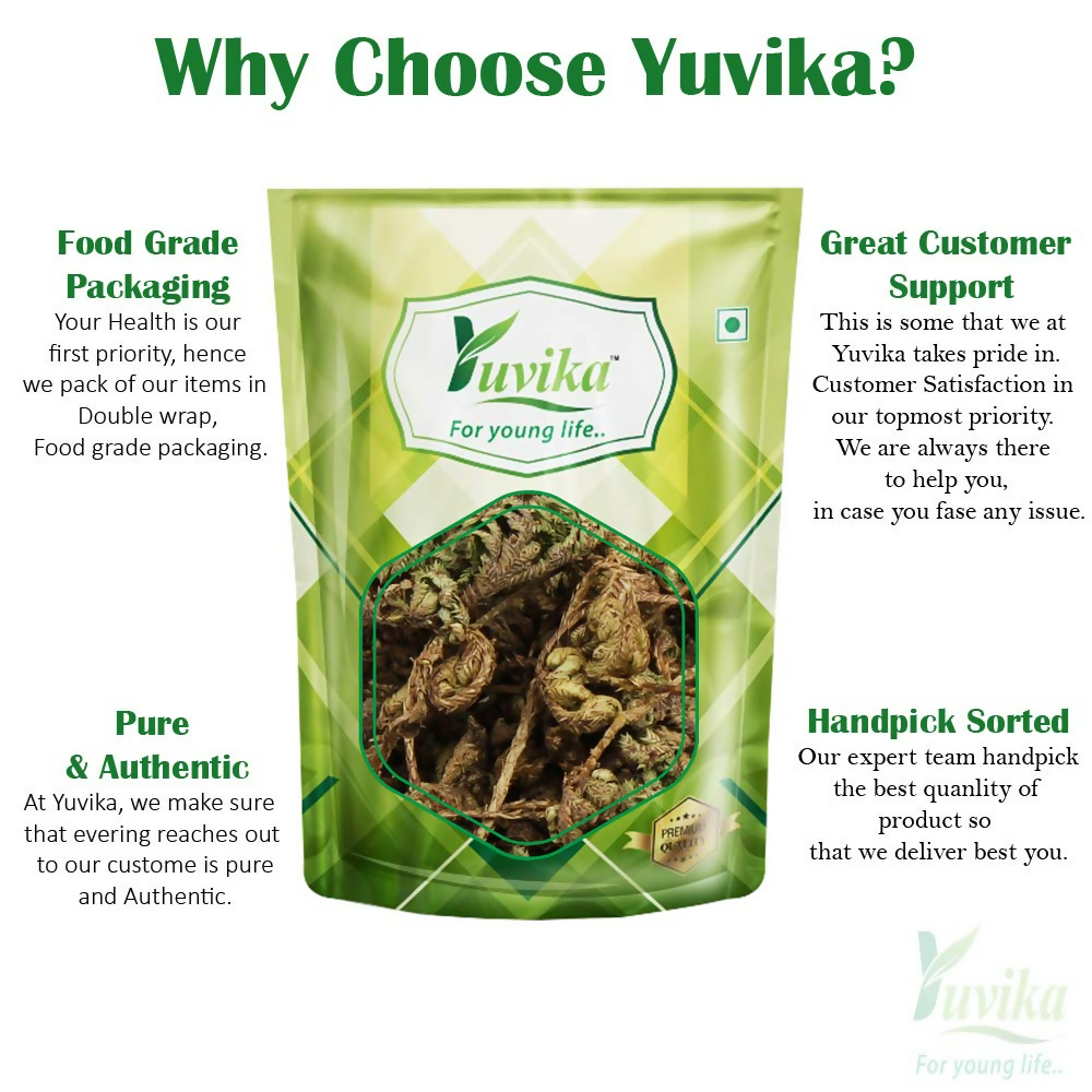 Yuvika Laxman Booti - Lakshman Booti - Selaginella Bryopteris - Guma | Grocsy
