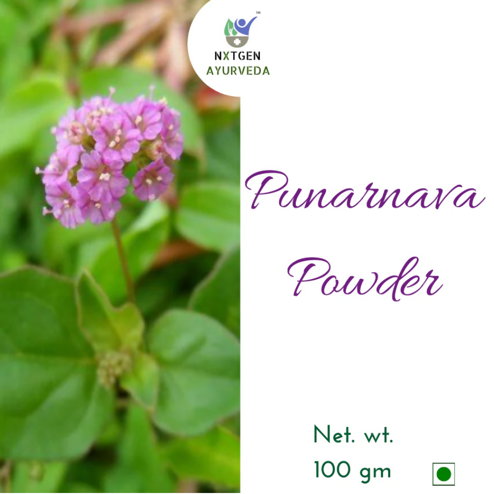 Nxtgen Ayurveda Punarnava Powder | Grocsy