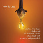 Dwibhashi Clove Oil (Lavanga Taila) | Grocsy