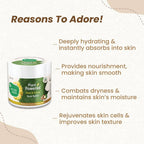 Mother Sparsh Plant Powered Body Butter | Grocsy