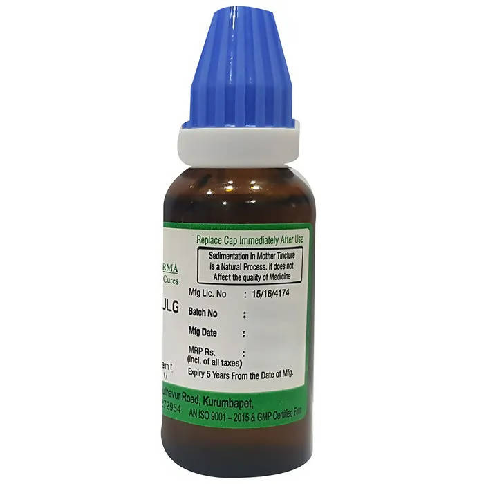 Hering Pharma Cydonia Vulg Mother Tincture Q | Grocsy