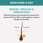 Alfaparf Milano Reparative Shampoo For Hairfall Repair | Grocsy