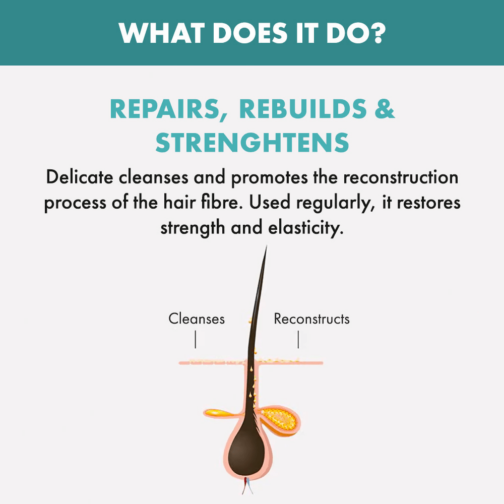 Alfaparf Milano Reparative Shampoo For Hairfall Repair | Grocsy