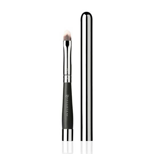 Proarte Retractable Lip Brush PL-37 | Grocsy
