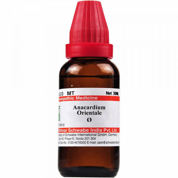 Dr. Willmar Schwabe India Anacardium Orientale Mother Tincture Q | Grocsy