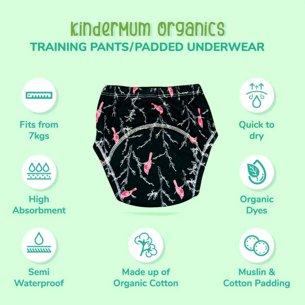 Kindermum Cotton Padded Pull Up Training Pants/ Padded Underwear For Kids Rugby Sparrow-Set of 2 Pcs | Grocsy