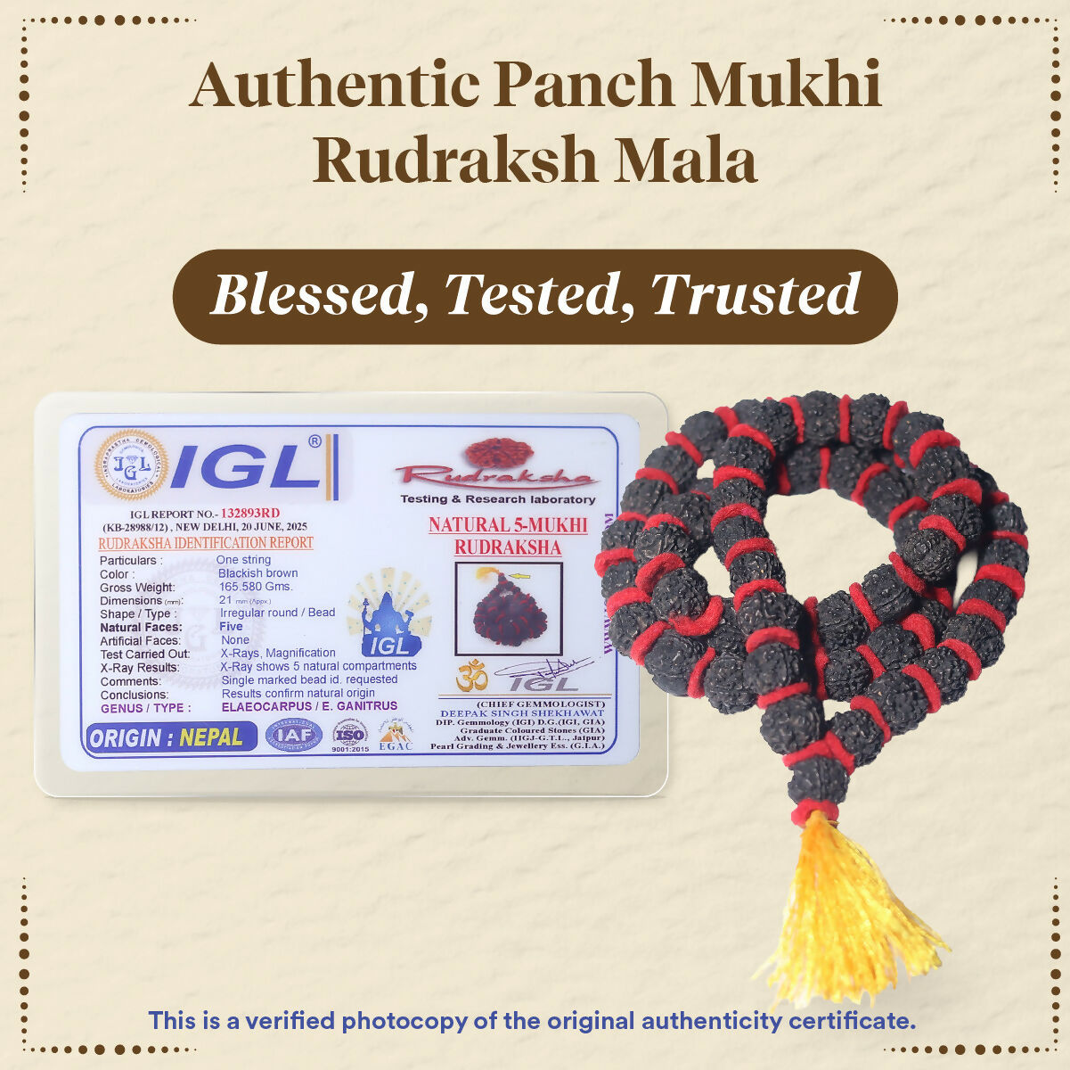 Pujashree Rudraksh Mala Large – Traditional Prayer Mala for Spiritual Healing, Chanting & Devotion | Grocsy
