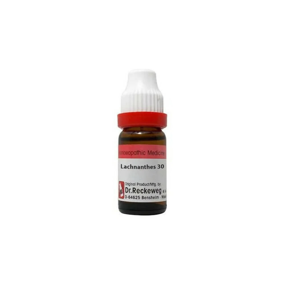 Dr. Reckeweg Lachnanthes Dilution | Grocsy