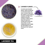 Teacurry Lavander Tea Bags | Grocsy