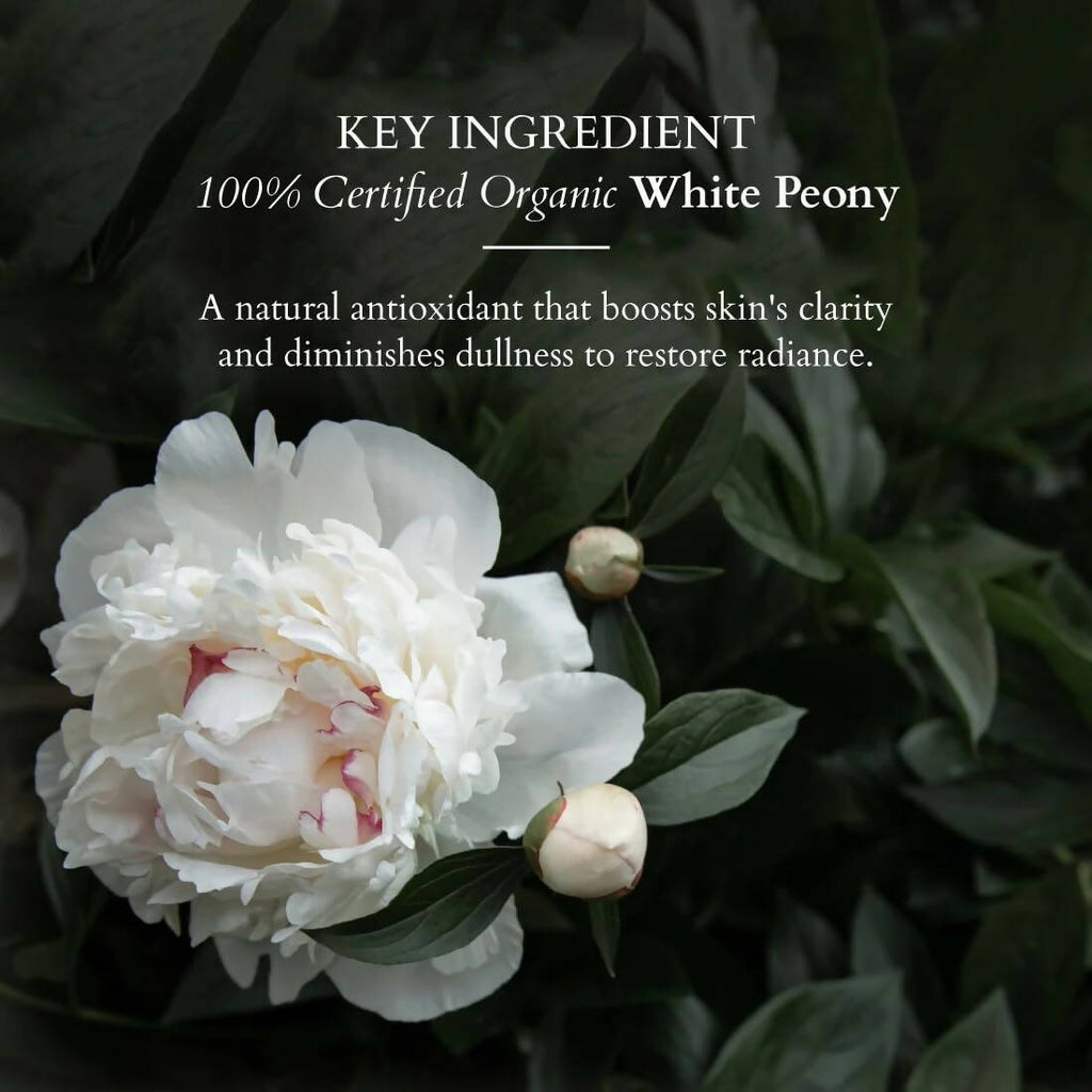 Lotus Organics+ Brightening De-Tan Face Pack | Grocsy