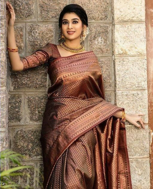 DEIANA'S Beautiful Designer Golden zari Soft Lichi Silk Saree - Brown | Grocsy
