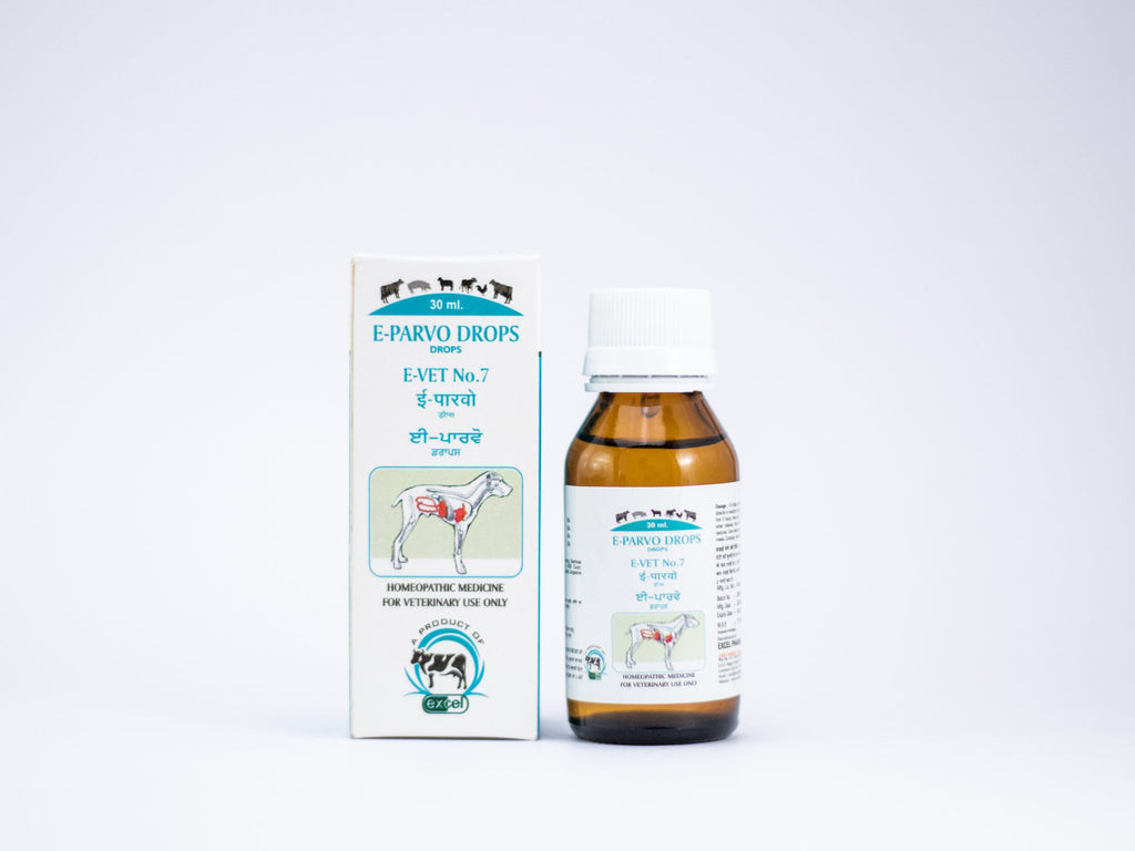 Excel Pharma E-Parvo Drops | Grocsy