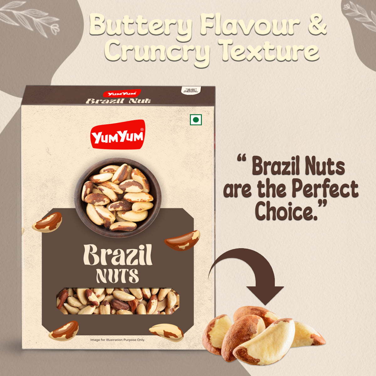 Yum Yum Brazil Nuts Box | Grocsy