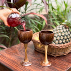 Thenga Coconut Shell & Wooden Wine Glasses | Grocsy