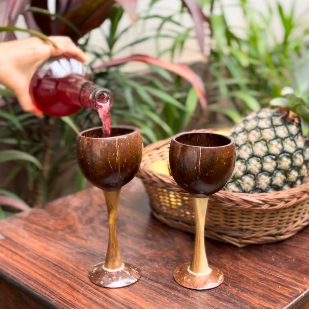Thenga Coconut Shell & Wooden Wine Glasses | Grocsy
