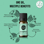 Uniearth Pure & Undiluted Camphor Essential Oil for Skin & Hair Care | Grocsy