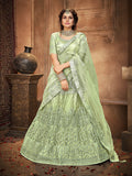 Myra Pista Heavy Embroidered Net Lehenga | Grocsy