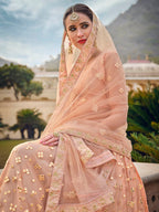 Myra Blush Net Heavy Embroidered Designer Lehenga | Grocsy